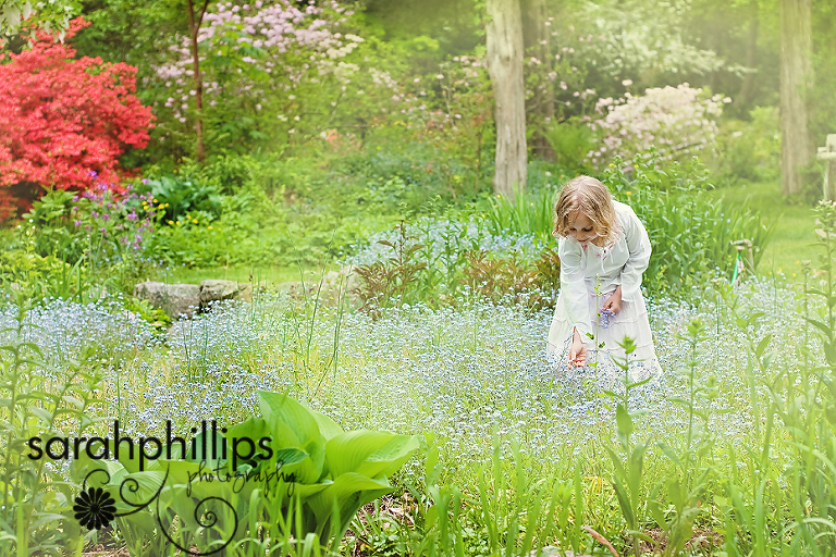 20090515-dsc_5334lightweb